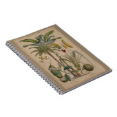 Carnet Antique Tropical Palm Fruit Botanique (Côté Droit)