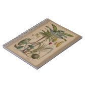 Carnet Antique Tropical Palm Fruit Botanique (Côté gauche)