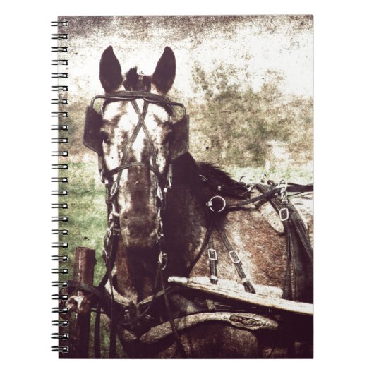Carnet Appaloosa Horse (Devant)
