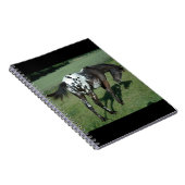 Carnet Appaloosa Horse (Côté Droit)