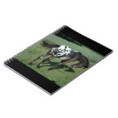 Carnet Appaloosa Horse (Côté gauche)