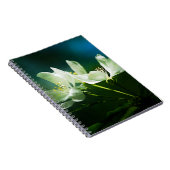 Carnet Apple Blossom - Deux Fleurs (Côté Droit)