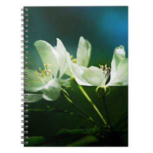 Carnet Apple Blossom - Deux Fleurs
