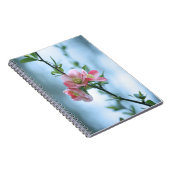 Carnet Apple Blossom #P0365 (Côté Droit)