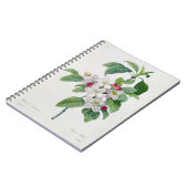 Carnet Apple fleurissent, du 'DES de Les Choix plus des (Côté gauche)