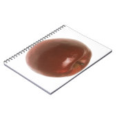 Carnet Apple rouge (Côté gauche)