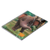 Carnet Appu (Côté gauche)