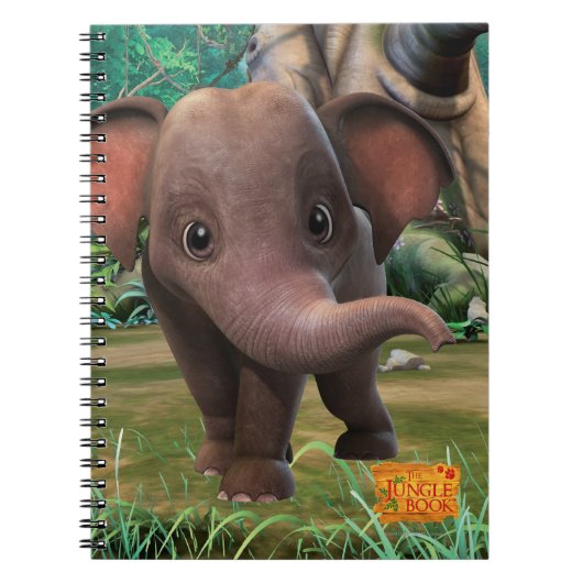 Carnet Appu (Devant)