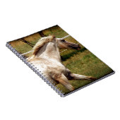 Carnet Appy (Côté Droit)