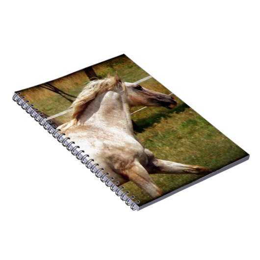 Carnet Appy (Côté Droit)