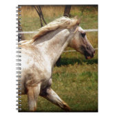 Carnet Appy (Devant)