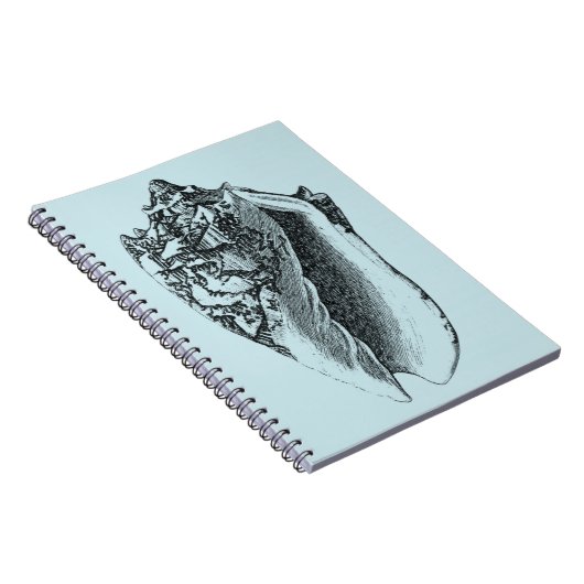 Carnet Aqua Conch Shell (Côté Droit)