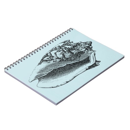 Carnet Aqua Conch Shell (Côté gauche)