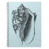 Carnet Aqua Conch Shell (Devant)