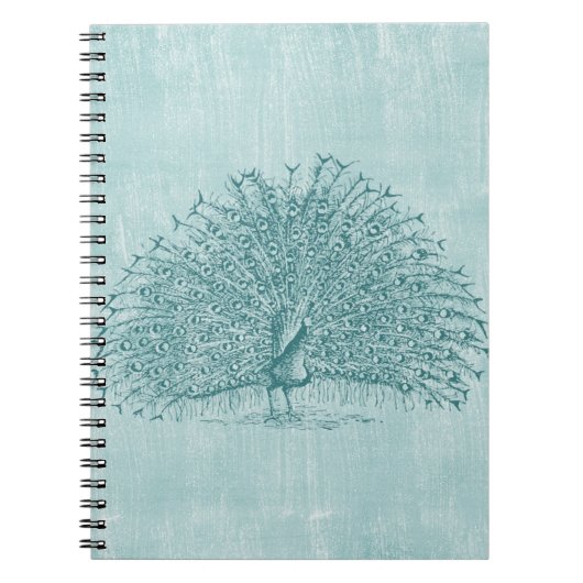 Carnet Aqua Peacock (Devant)