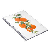 Carnet Aquarelle agrumes citrons orange citron (Côté Droit)