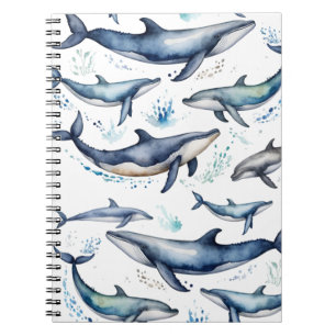 Carnet Aquarelle Baleines bleues et dauphins, animal mari