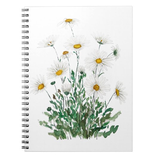 Carnet aquarelle blanche Margaret daisy (Devant)