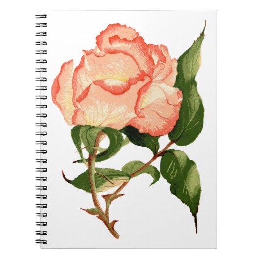 Carnet Aquarelle botanique rose de pêche (Devant)
