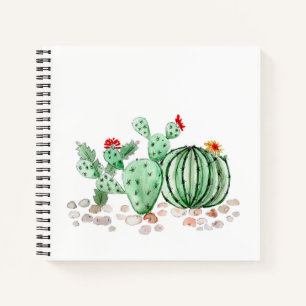 Carnet aquarelle, cactus