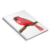 Carnet Aquarelle cardinale (Côté Droit)