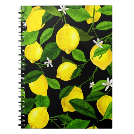 Carnet Aquarelle Citron 2 (Devant)
