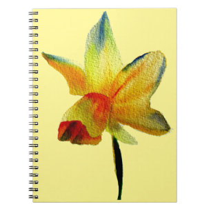 Carnet Aquarelle de jonquille jaune Fleur de printemps
