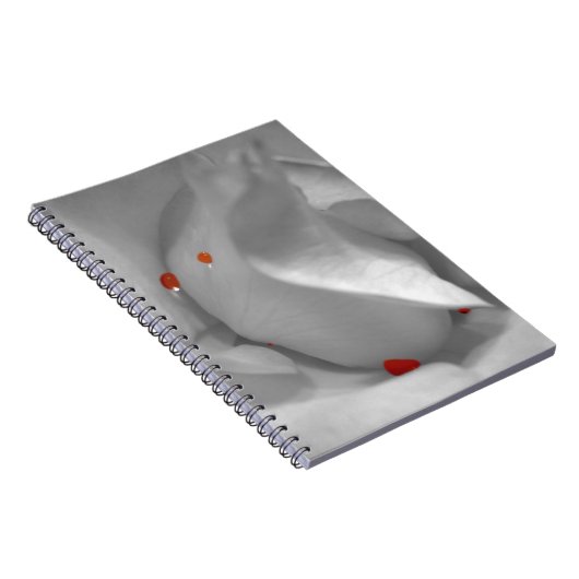 Carnet Aquarelle Éolienne (Côté Droit)