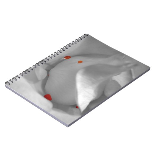 Carnet Aquarelle Éolienne (Côté gauche)