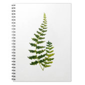 Carnet Aquarelle Fern Botanique Verdure Rustique Élégant (Devant)