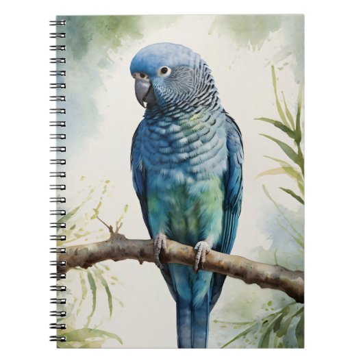 Carnet Aquarelle Parakee bleu Eucalyptus Tree (Devant)