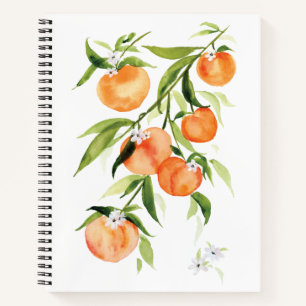 Carnet Aquarelle pêche fruit d'été grande