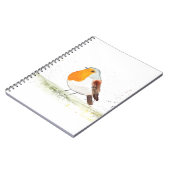 Carnet Aquarelle Robin (Côté gauche)