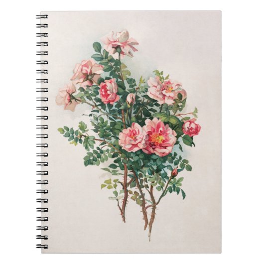 Carnet Aquarelle Roses roses (Devant)