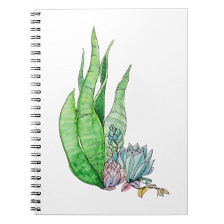 Carnet Aquarelle Succulente Végétation Botanique