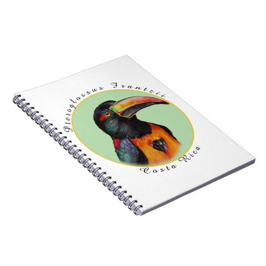 Carnet Aquarelle toucan (Côté Droit)