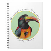 Carnet Aquarelle toucan (Devant)