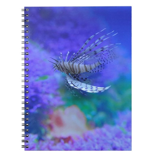 Carnet Aquarium Poisson poisson violet Pterois Zebrafish (Devant)