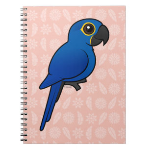 Carnet Ara de jacinthe