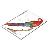 Carnet Ara d'écarlate, arums Macao (Côté gauche)