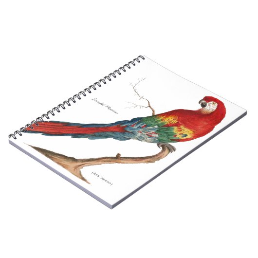 Carnet Ara d'écarlate, arums Macao (Côté gauche)