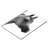 Carnet Arabe (Côté gauche)