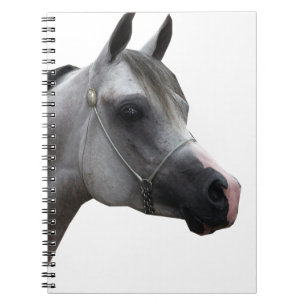 Carnet Arabe