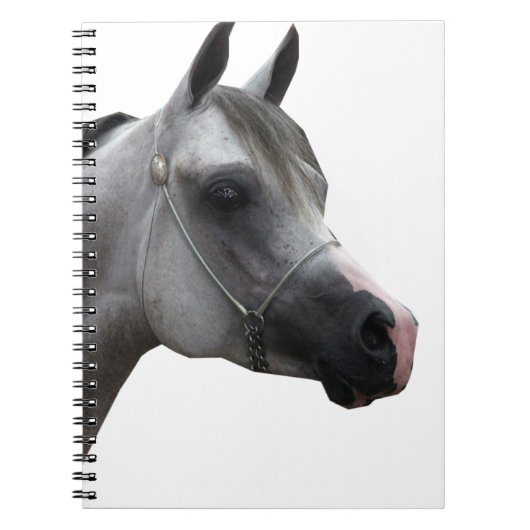 Carnet Arabe (Devant)