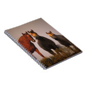 Carnet Arabes au coucher du soleil (Côté Droit)