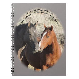 Carnet Arachide et Surma, étalons en lavabo de sable