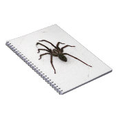 Carnet Araignée déplaisante (Côté Droit)