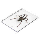 Carnet Araignée déplaisante (Côté gauche)