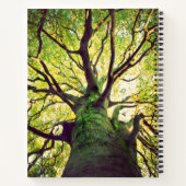 Carnet Arborescence (Dos)