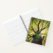 Carnet Arborescence (Intérieur)
